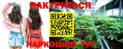 сатива Вязьма