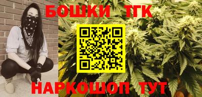 гашик Вышний Волочёк