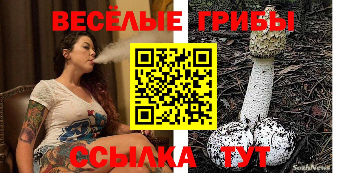 Псилоцибиновые грибы ЛСД Бор