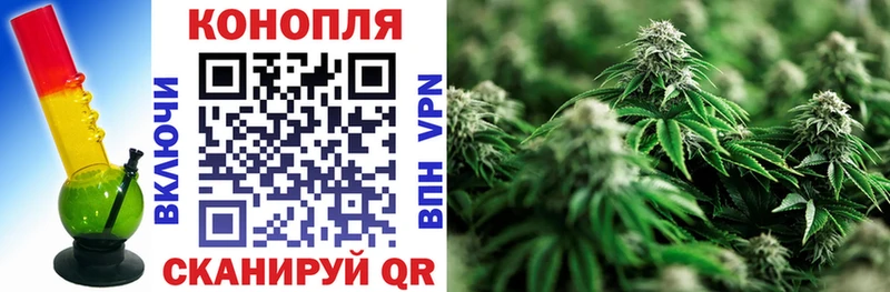 МАРИХУАНА ГИДРОПОН  купить   Бор 